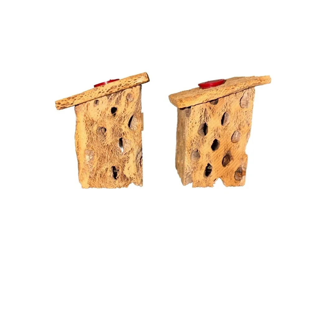 Vintage Outhouse Squaws & Bucks (F/M) Cholla Cactus Wood Salt Pepper Shakers MCM
